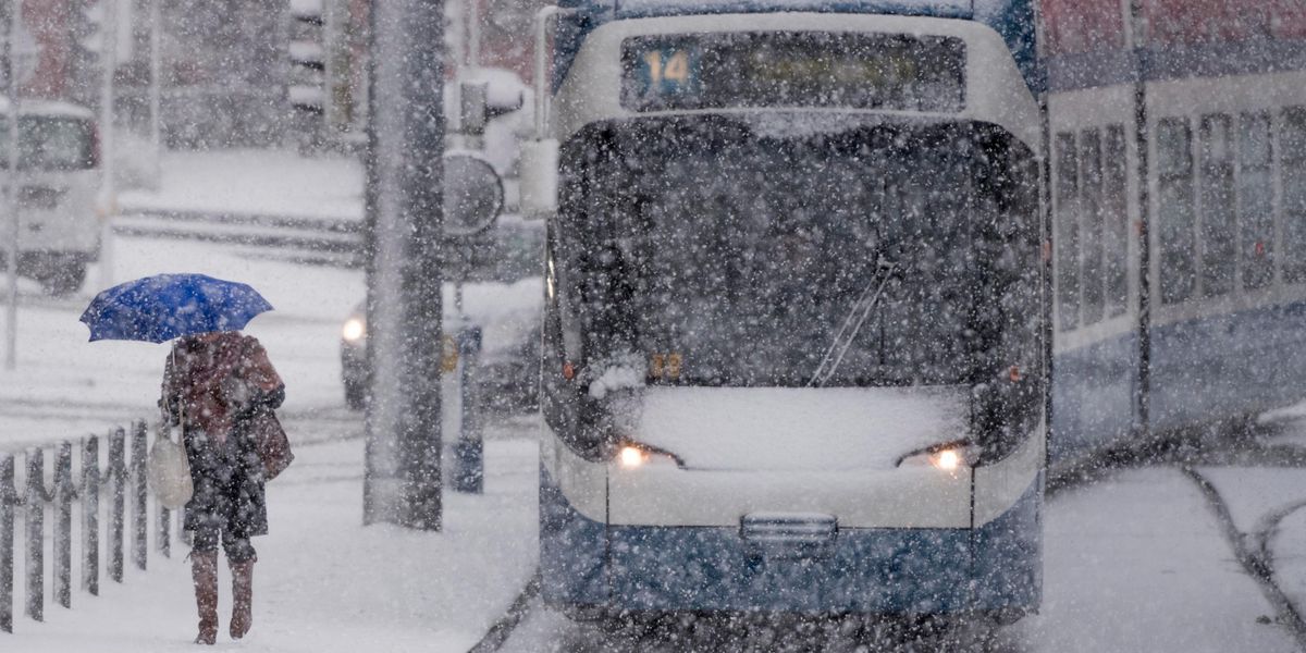 VBZが雪のためにバス運行を中止した理由