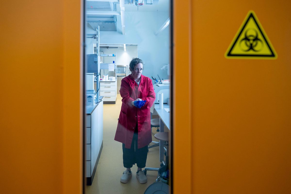 Denise Altenbach se prépare dans son laboratoire de diagnostic moléculaire, où elle et son équipe teste des milliers d’échantillons annuellement.