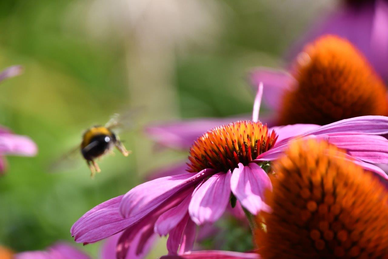 Bilder des Monats Juli Das sind die schönsten Leserbilder des Monats