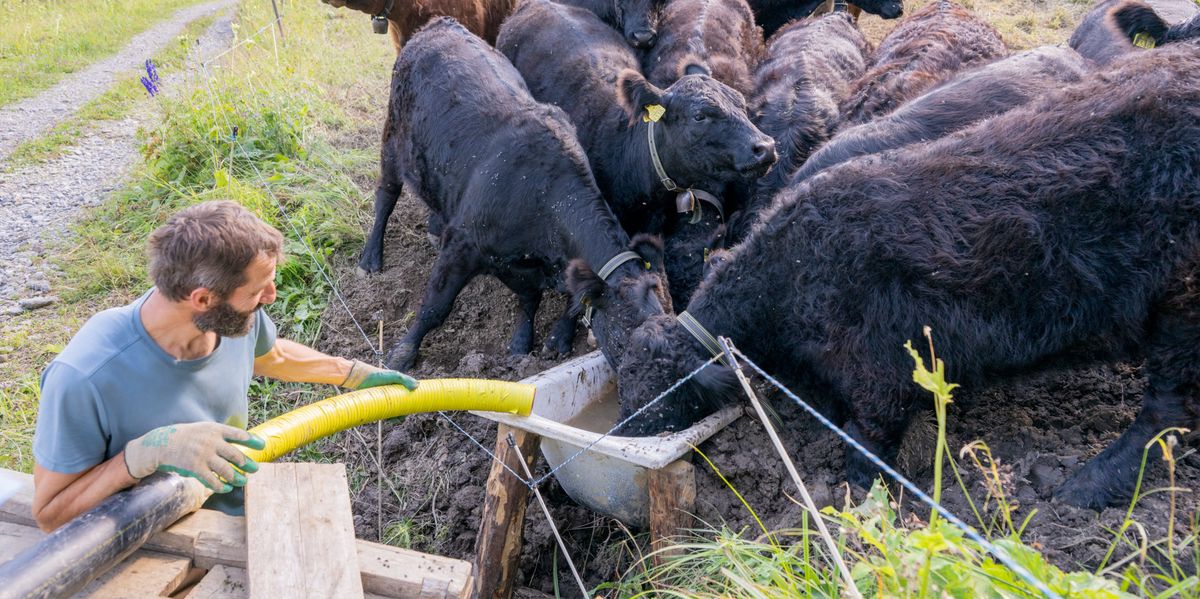 Migros donation: Farmers' association demands fair producer prices