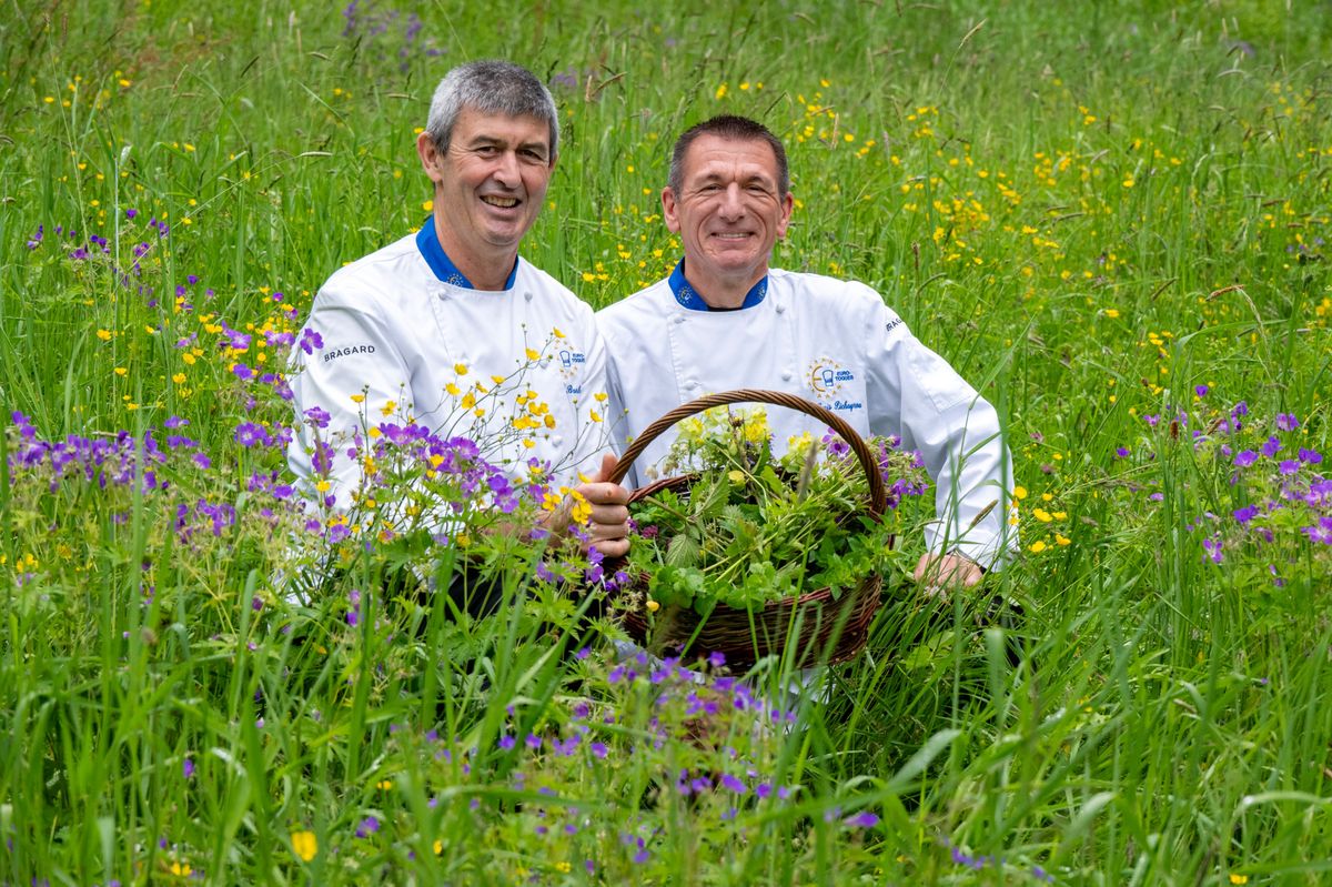 Les deux chefs au milieu d'un champ de plantes sauvages