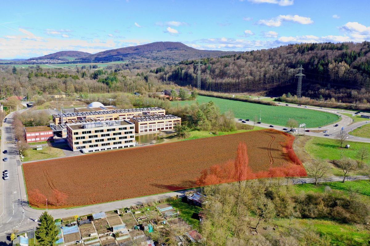 Rheinfelden Wiese soll zur Landreserve für die Schule werden Basler