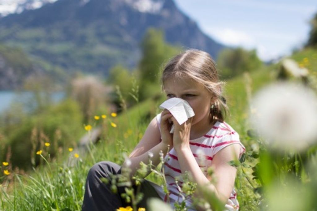 La sécheresse, bonne contre les allergies