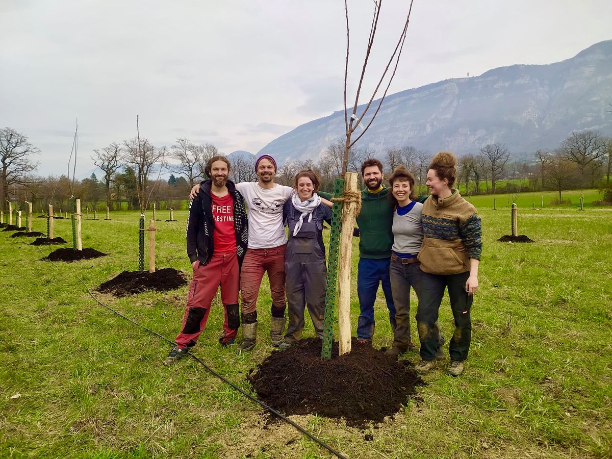 En quatre jours, un verger biologique sort de terre à Troinex
