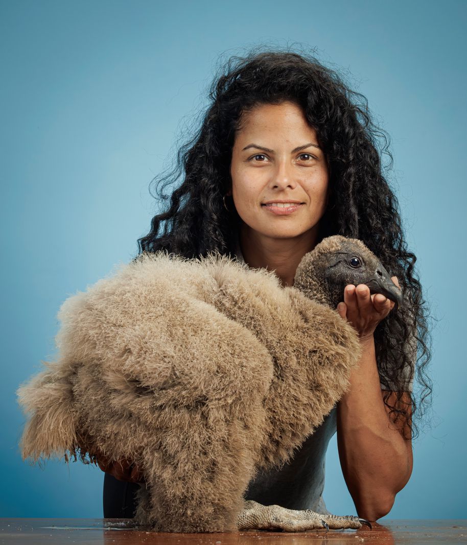 Bébé condor (environ 50 jours) au parc "les aigles du léman" à Sciez, France, ce lundi 17 juin 2024. (VFLPIX.COM /Valentin Flauraud)