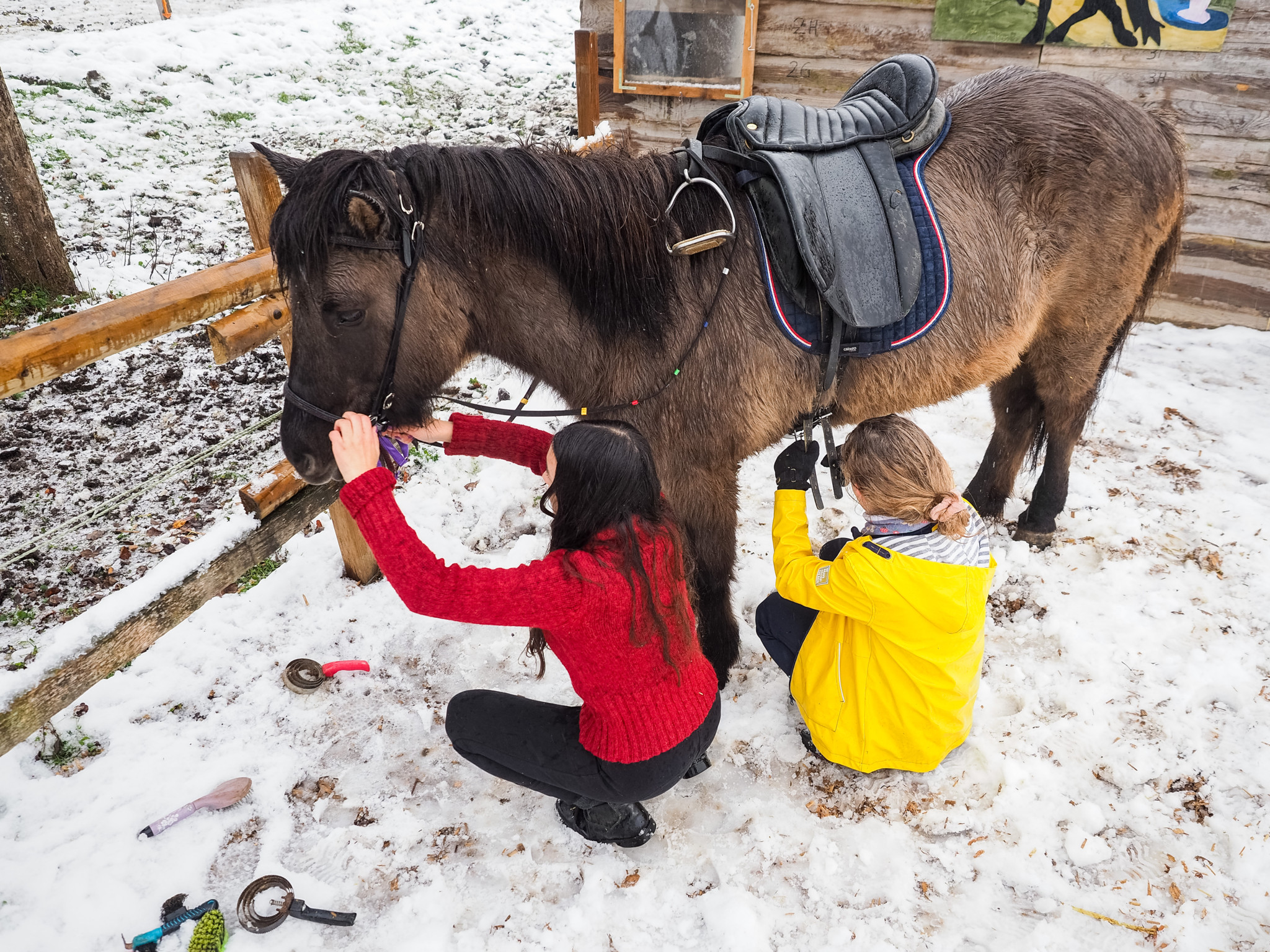 Zwei Personen pflegen ein Pony im Schnee auf dem Ponyhof Germann in Winterthur-Wülflingen. Ein Sattel ist auf dem Pony angebracht.