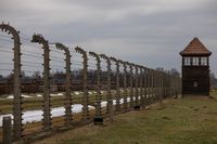 Le monde commémore la libération d’Auschwitz