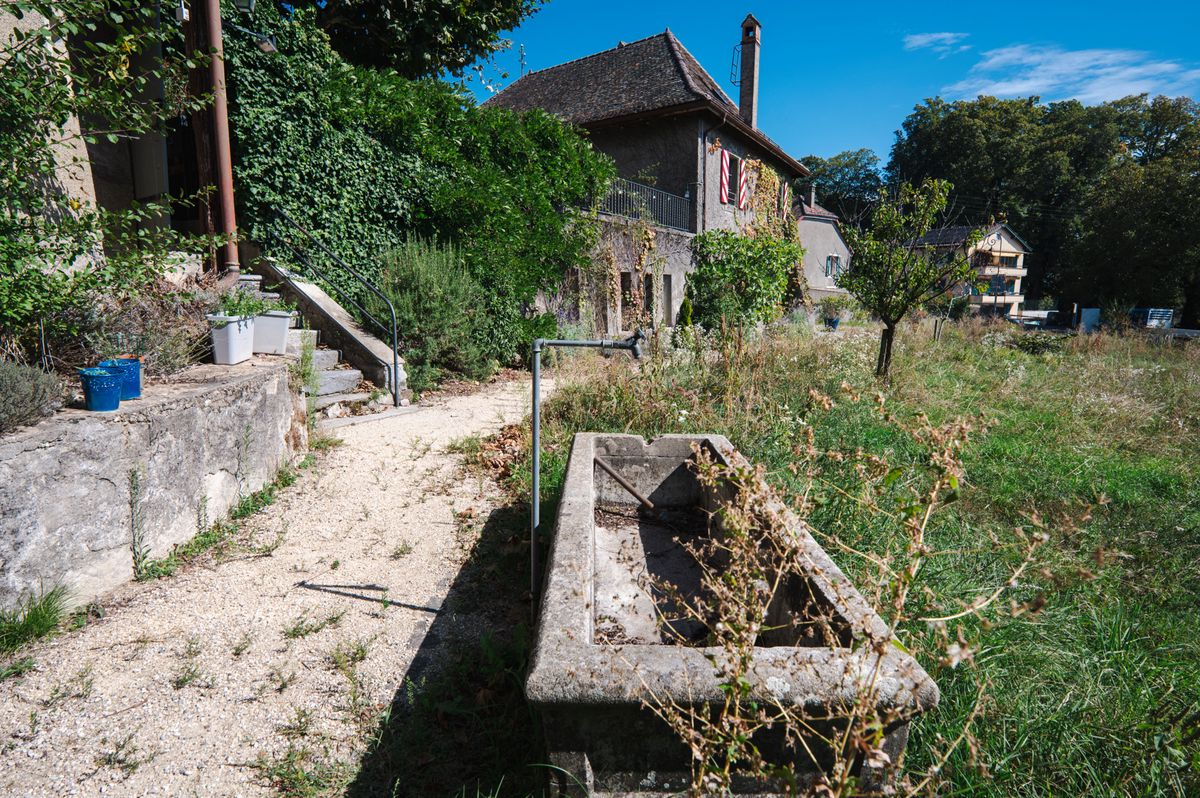 Le château Rochefort à Allaman, un domaine oenotouristique de la Ville de Lausanne, en mauvais état avec une végétation envahissante et un bâtiment délabré.