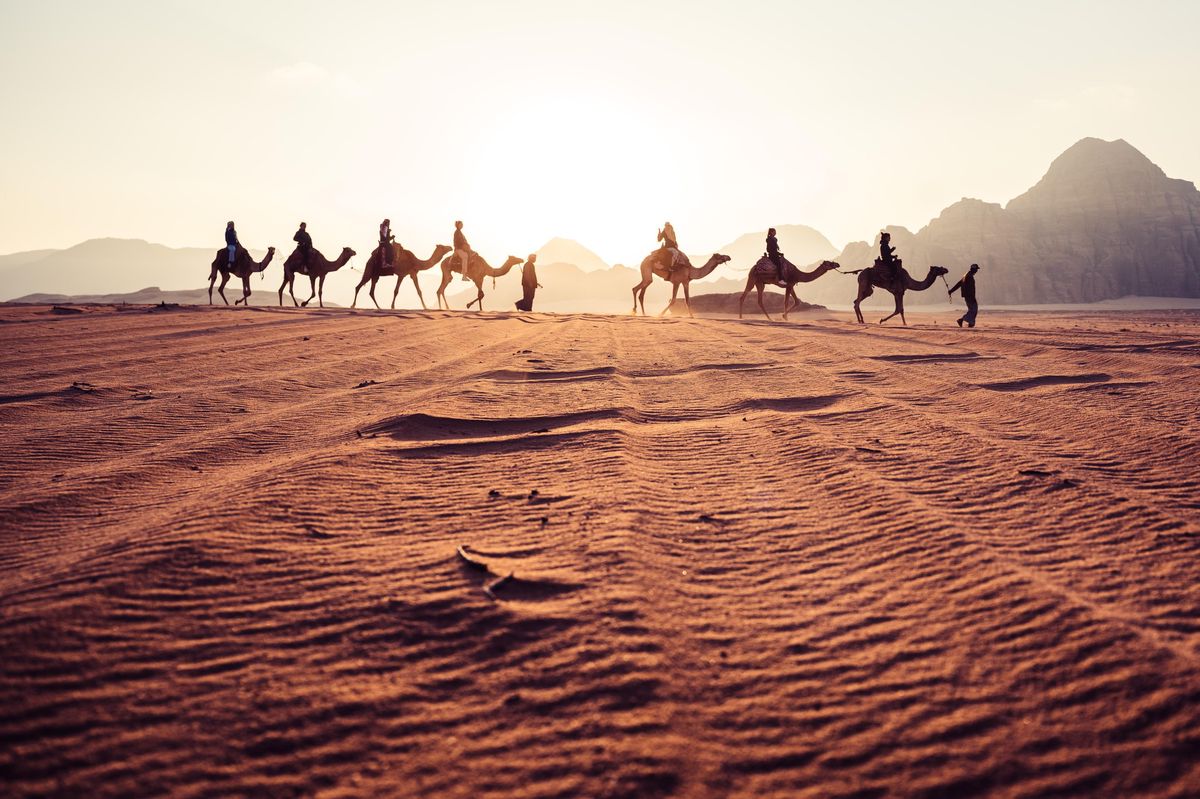 Partir à l’aube à dos de dromadaire pour s’en aller observer le lever de soleil est l’un     des moments les plus magiques de toute découverte du Wadi Rum.