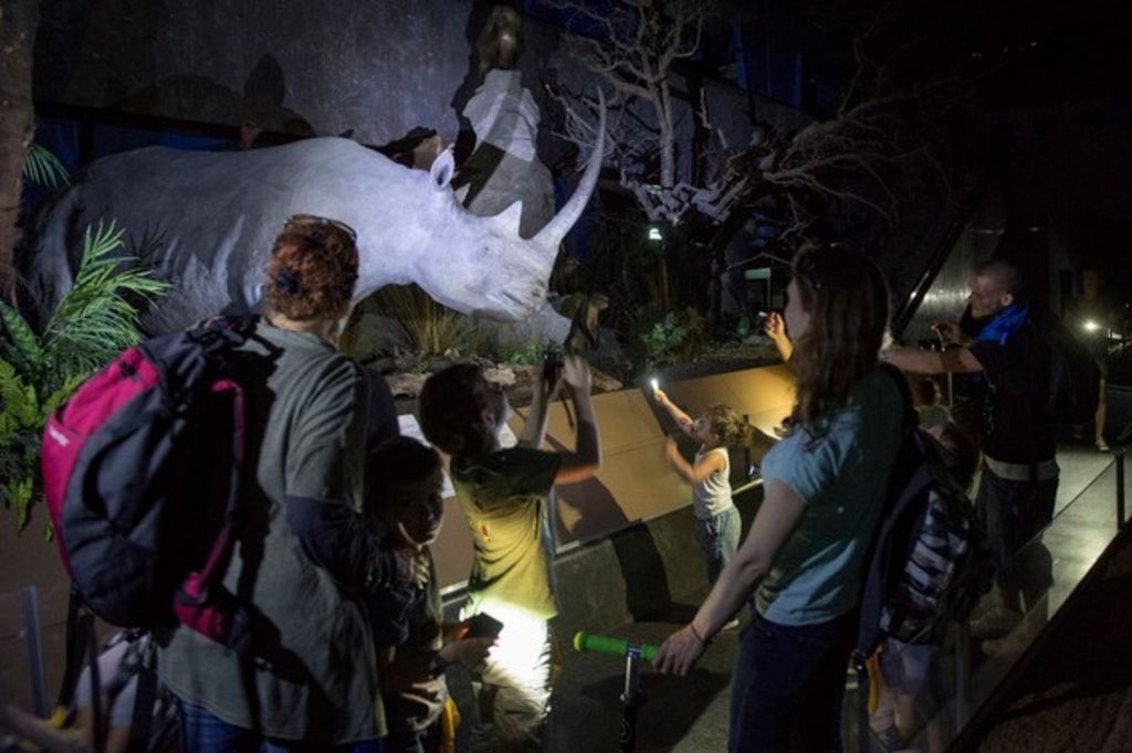 Les musées ont reçu plus de 700'000 visiteurs en 2015