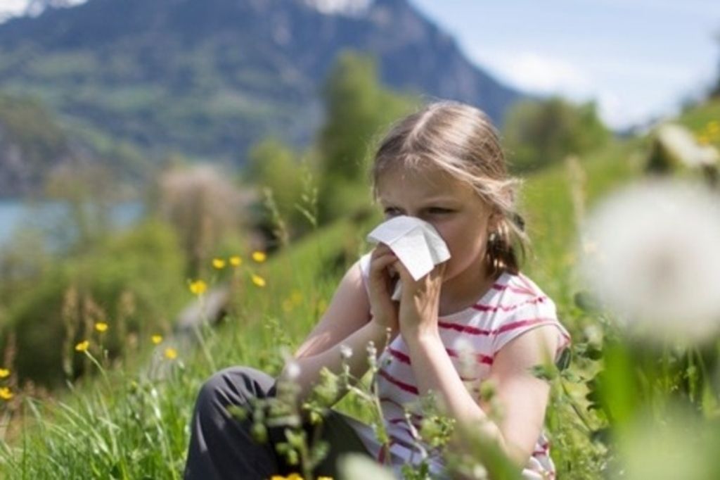 Les allergiques informés en temps réel d'ici à 2023