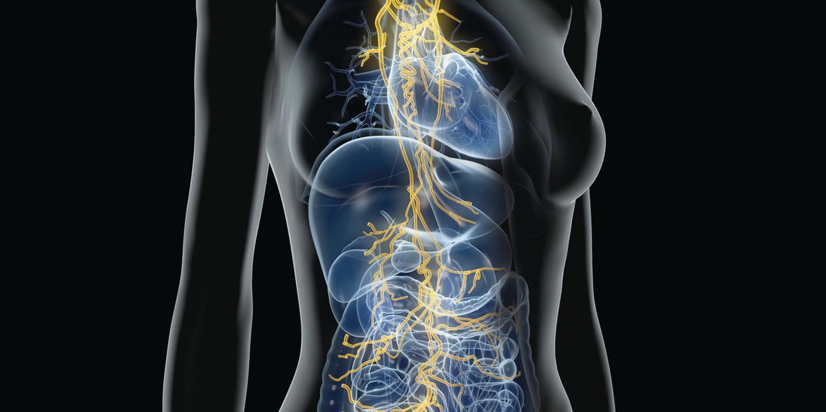Vagus nerve: Does it help against depression, epilepsy, and stress?