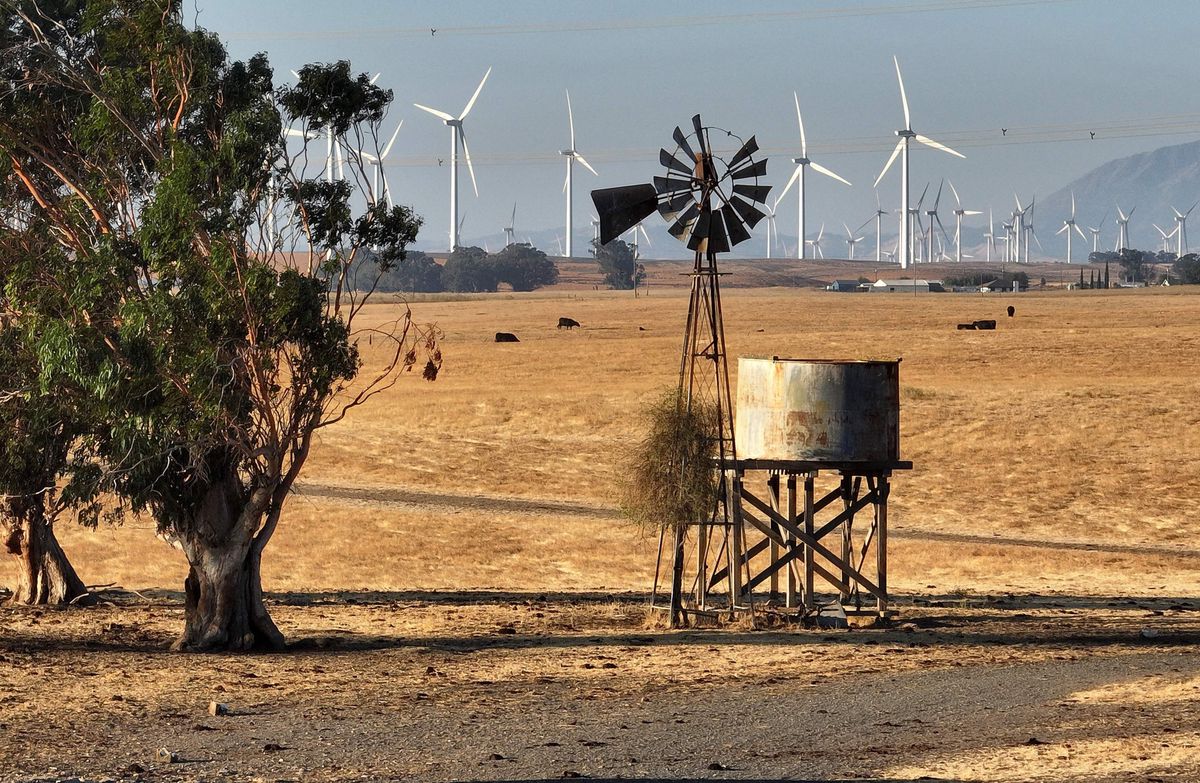 C’est dans cette région située près de Rio Vista, au nord-est de San Francisco, que l’entreprise Flannery Associates a discrètement acquis des milliers d’hectares de terrain. Objectif déclaré: bâtir une toute nouvelle ville, verte et piétonne.  