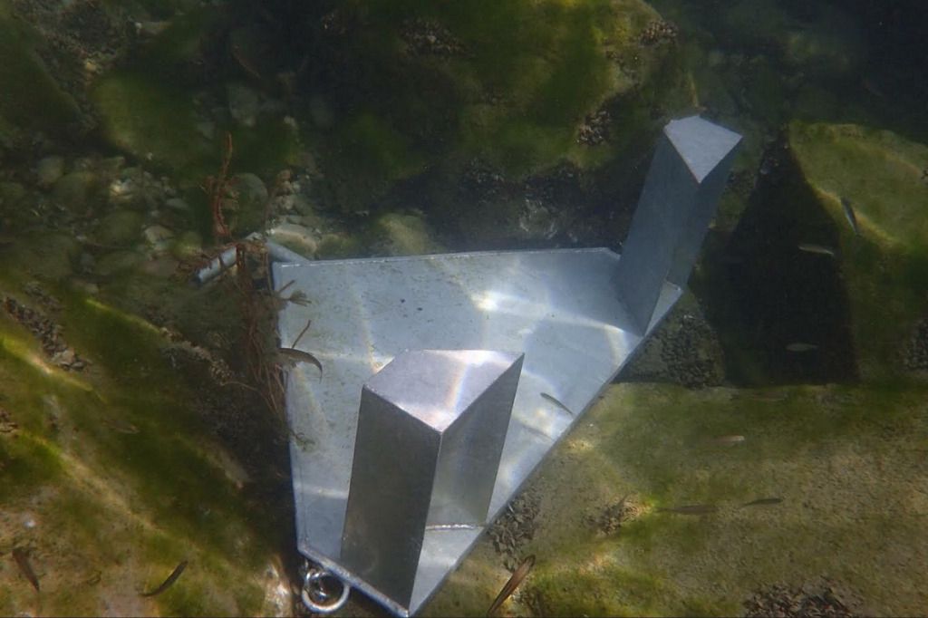 Dans le Léman, un plongeur pêche… un sabot