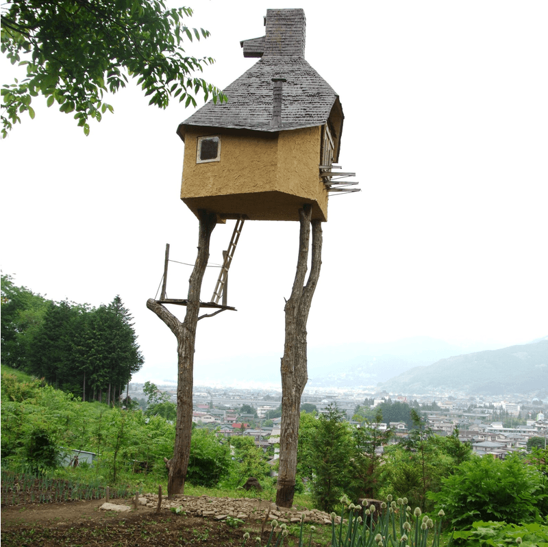 En 2004, l'architecte japonais Terunobu Fujimori installait une «Maison de thé» au sommet de deux châtaigniers dans la région de Nagano.