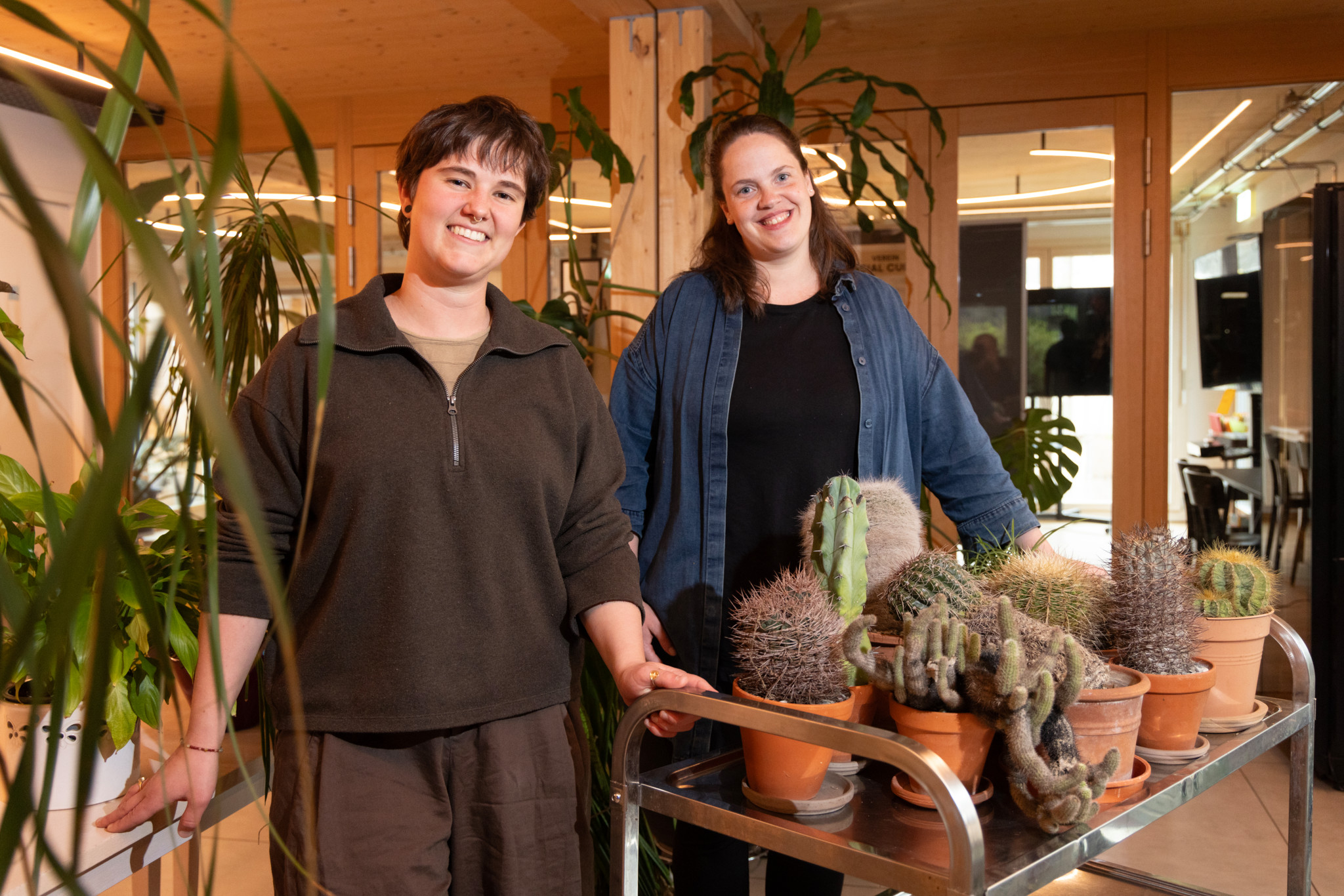 Zürichs erstes Pflanzenbrocki: Hier finden Zimmerpflanzen ein neues Zuhause