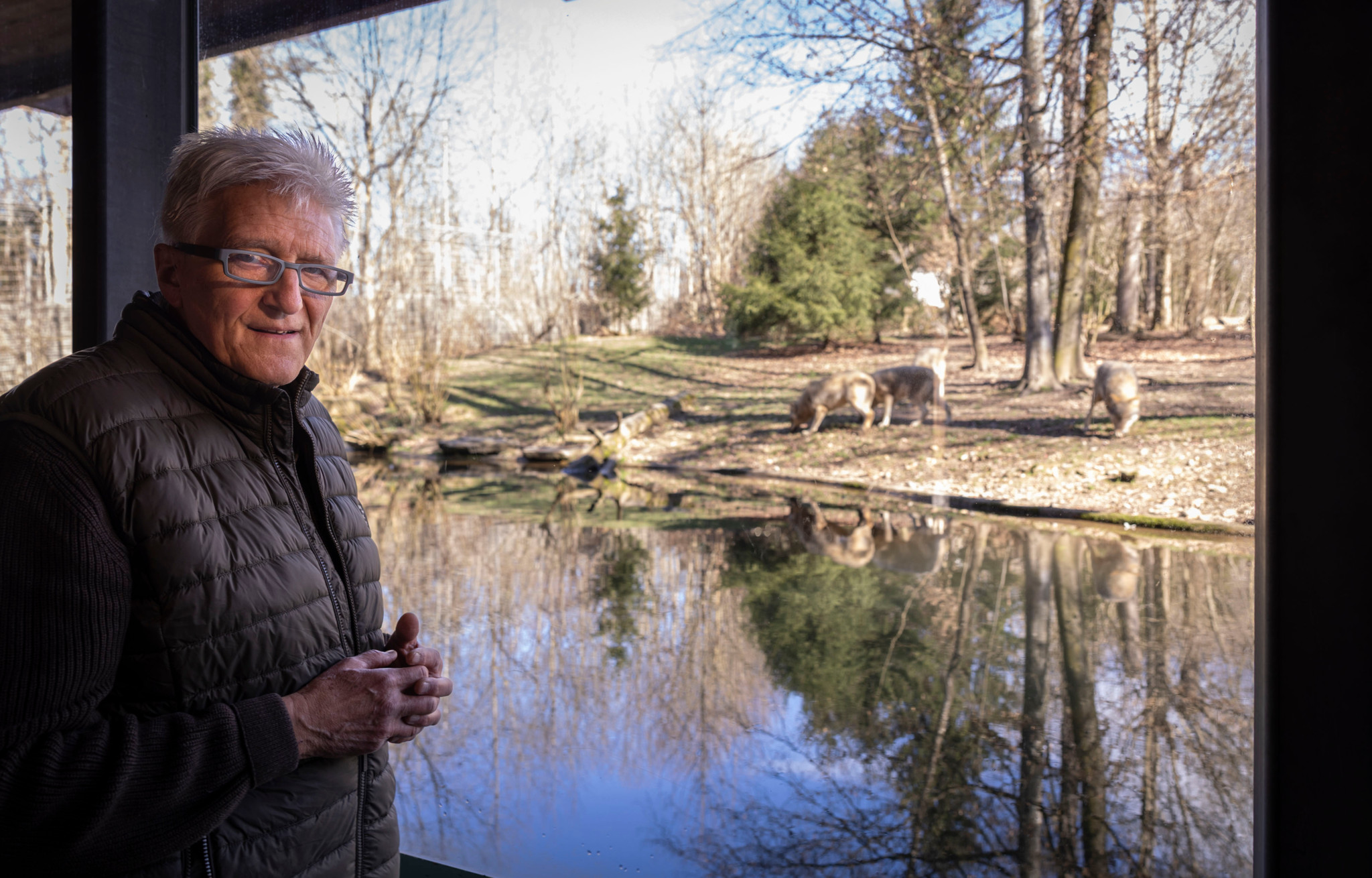 Andreas Moser, früherer Netz-Natur-Moderator, steht vor dem Wolfgehege im Tierpark Dählhölzli in Bern.