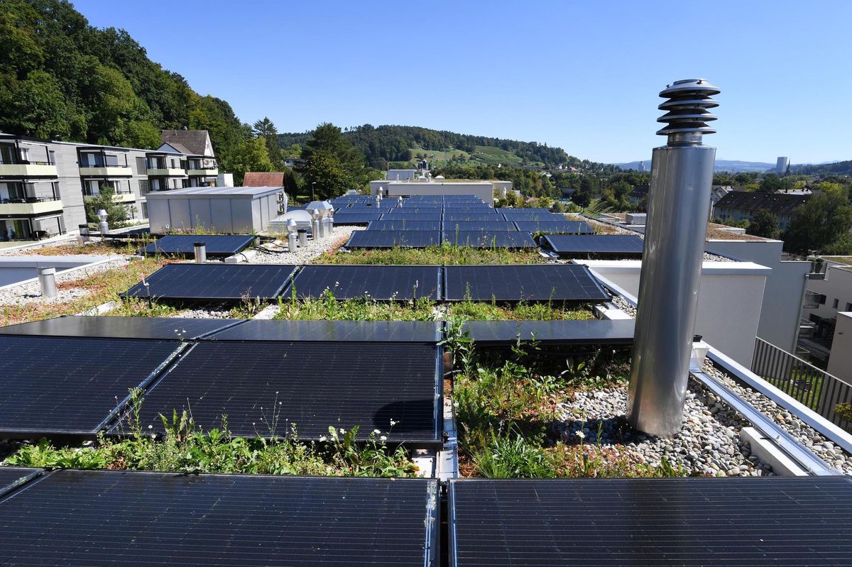 Die Installation von Solaranalgen auf Hausdächern soll bald attraktiver werden, kündigt die Stadt an.
