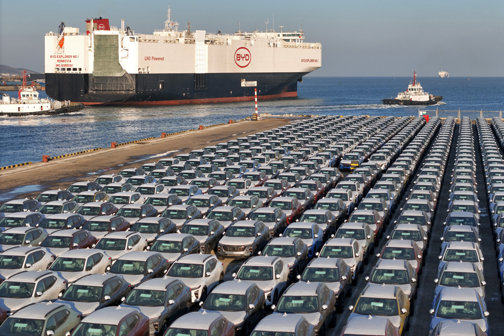 Des centaines de véhicules électriques du groupe BYD – numéro un mondial du secteur – en attente d’embarquement, sur les quais du port chinois de Yantai, en janvier dernier.