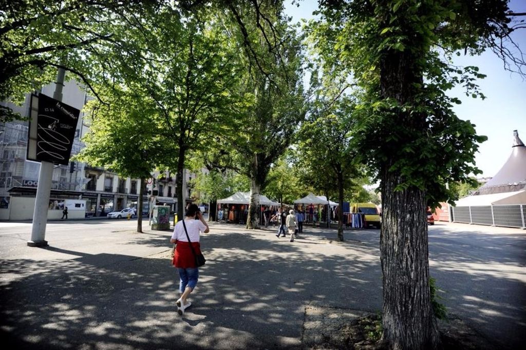 La polémique continue autour de l’abattage des arbres à Plainpalais