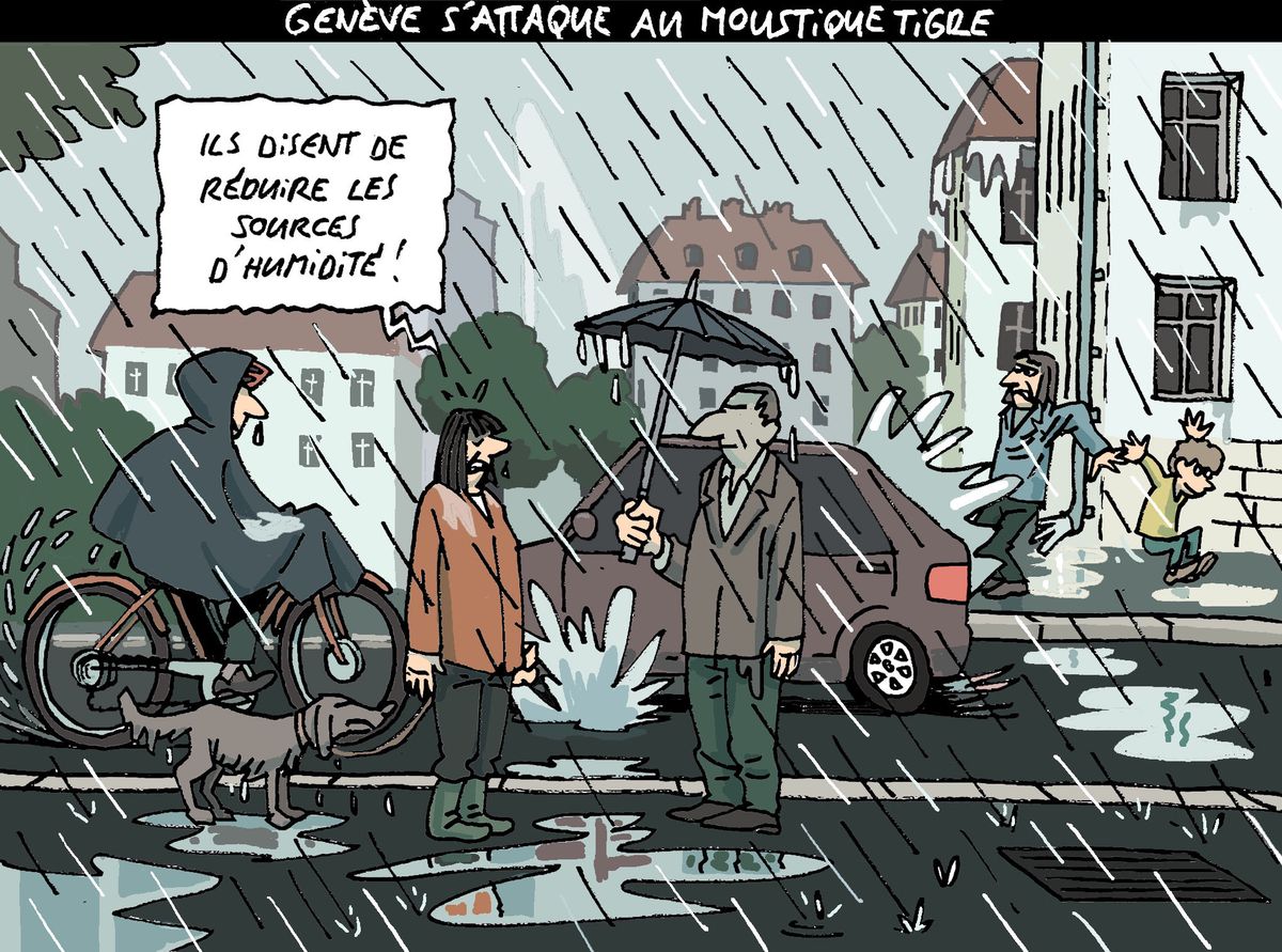 Genève s’attaque au moustique tigre