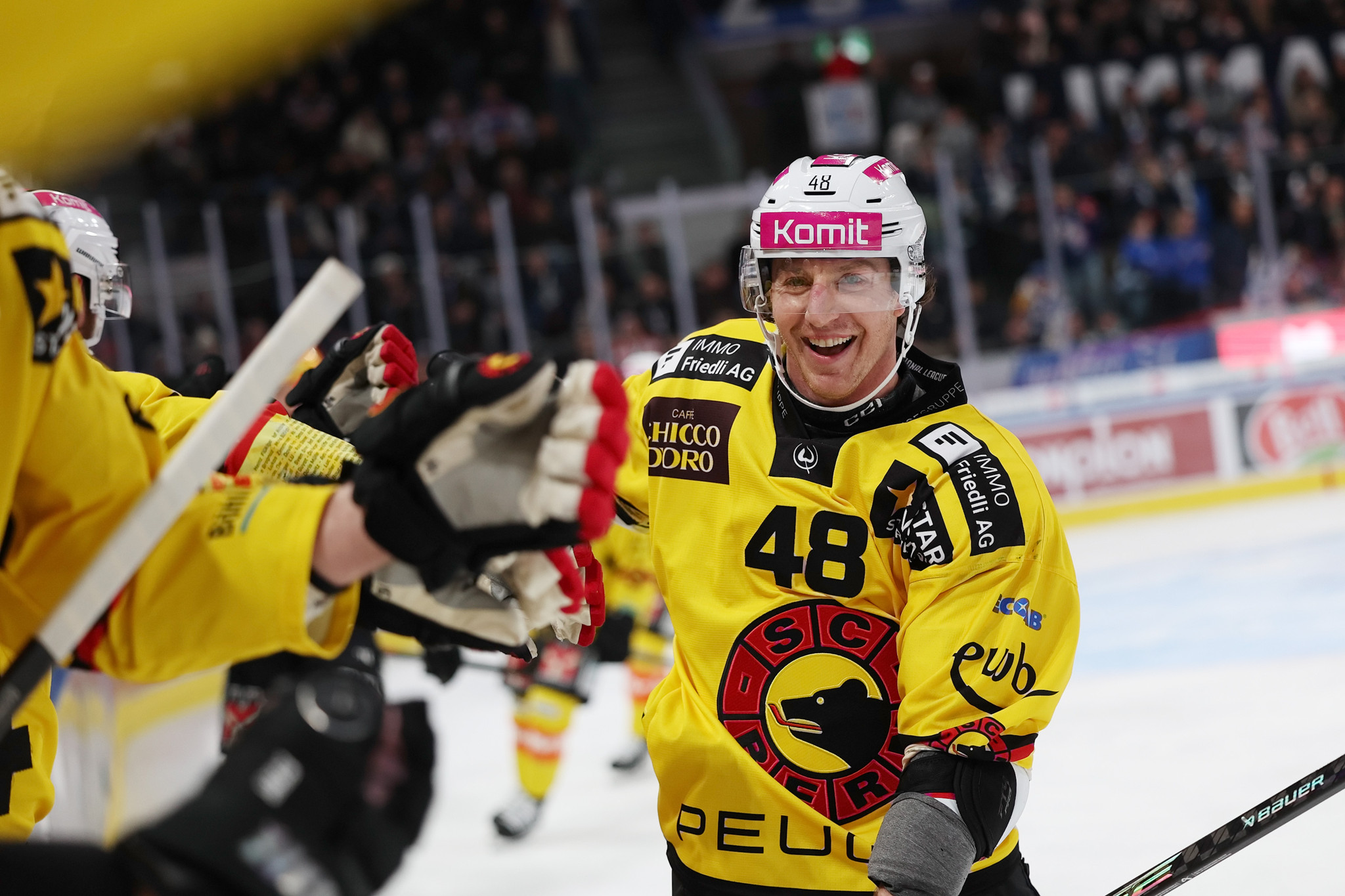Mike Sgarbossa von SC Bern feiert sein Tor zum 1:2 gegen ZSC Lions, klatscht mit Mitspielern auf der Bank in Zürich ab.