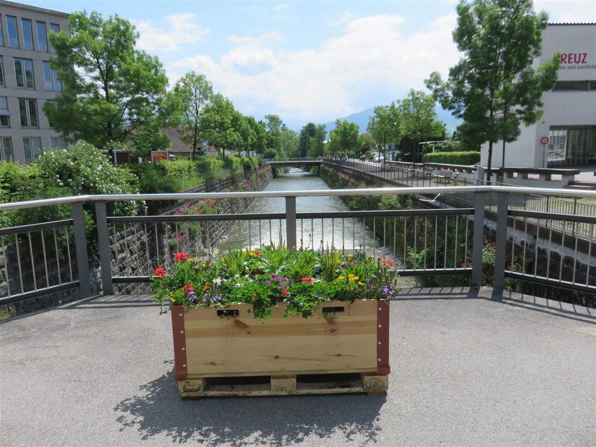 Das urbane Gärtnern hält in RapperswilJona Einzug ZürichseeZeitung