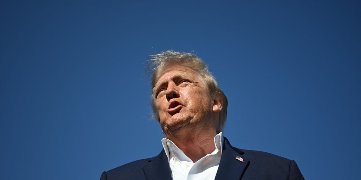 The Conditional Ballot: Donald Trump and the Stakes of the Midterms