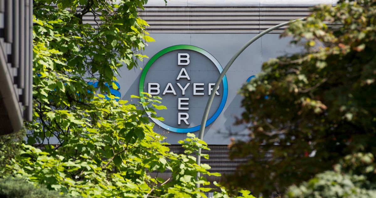 Un logo du géant pharmaceutique allemand Bayer.