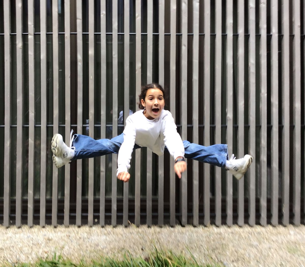 Des écoliers genevois apprennent à chasser l’image