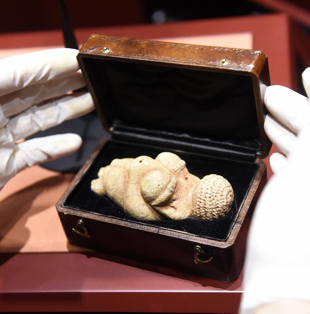 Neue Herkunftsanalyse Die Venus von Willendorf stammt vom Gardasee