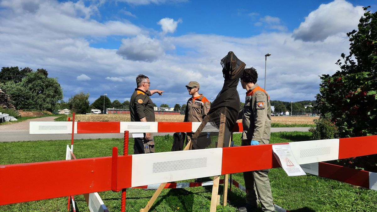 Zivilschutzkommandant Reto Haltinner überwacht das Aufstellen der Netzfallen in der inneren Befallszone bei der Sportanlage Stighag in Kloten.