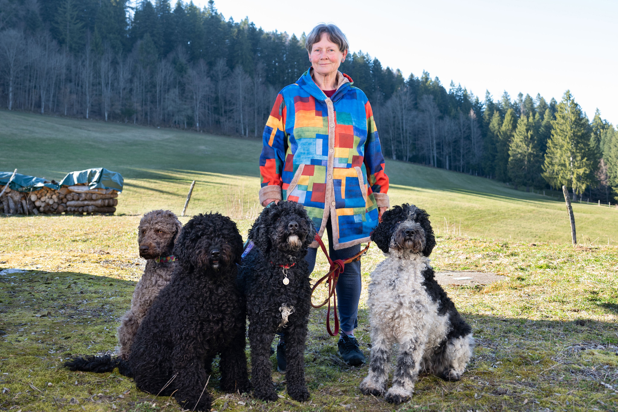 Animaux domestiques en Suisse: Les éleveurs sont las de la concurrence des usines à chiots