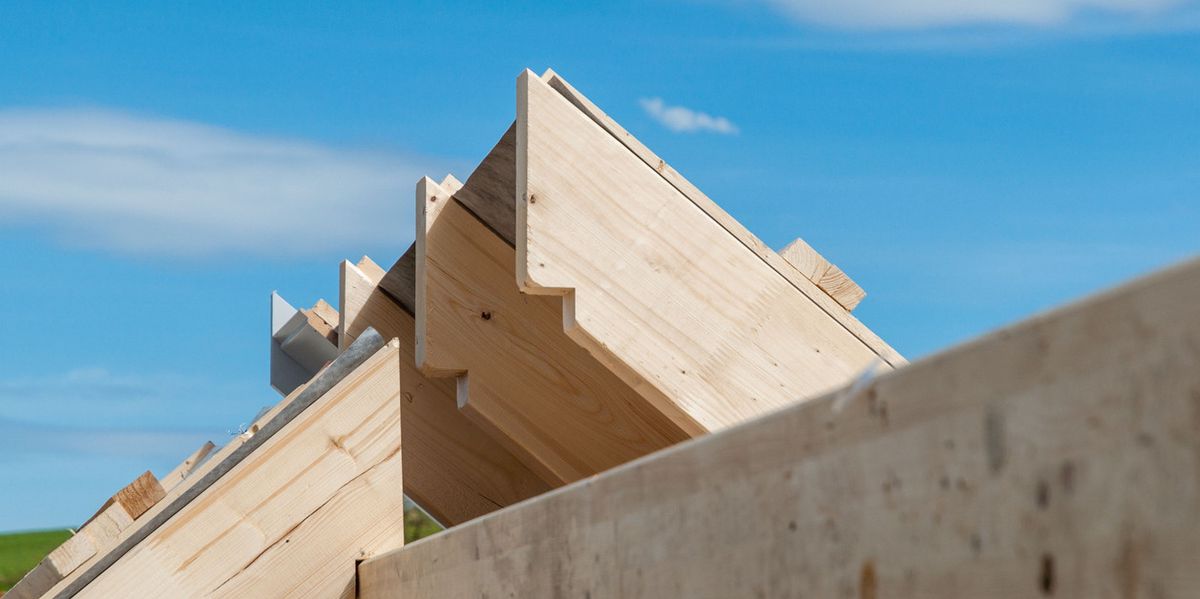 Wir-sind-Zukunft-Vom-Schweizer-Wald-ins-Hochhaus-Holz-w-chst-in-die-H-he