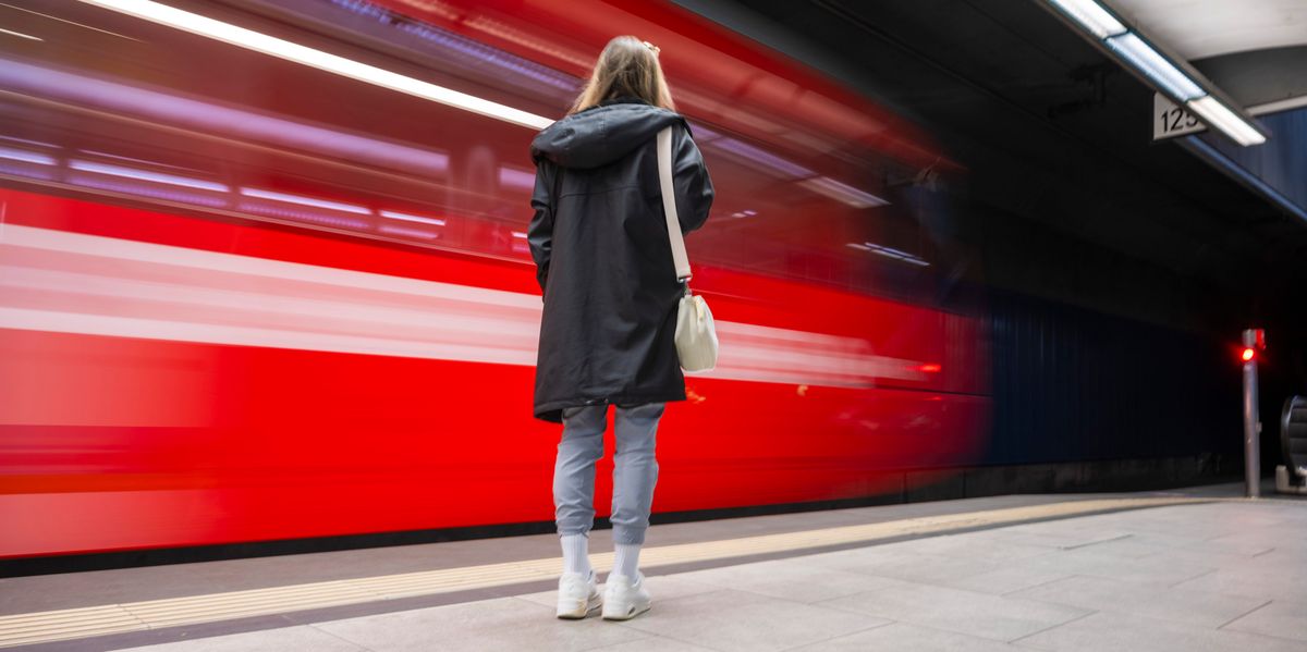 Public transport fines in Switzerland: 