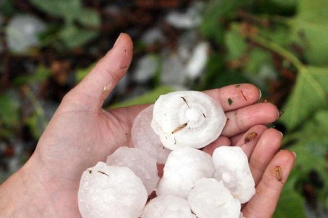 Les tempêtes de grêle en Allemagne au cours des mois de juillet et d'août qui se sont révélées les plus coûteuses.