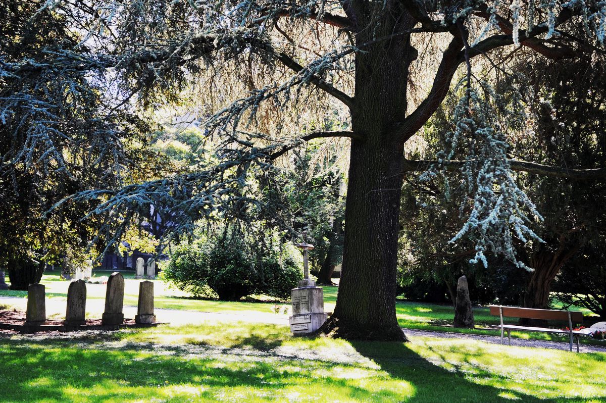 Genève: le cimetière des Rois, un musée à ciel ouvert | Tribune de Genève