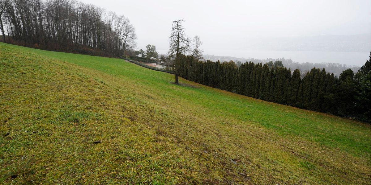 Grünes Grundstück an Hanglage in Herrliberg mit Zürichsee im Hintergrund.
