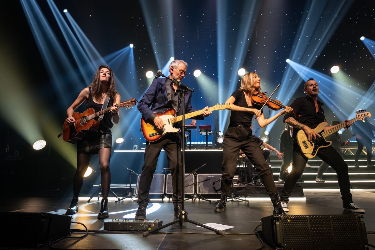 «L'héritage Goldman», à la pointe du marché de la nostalgie 