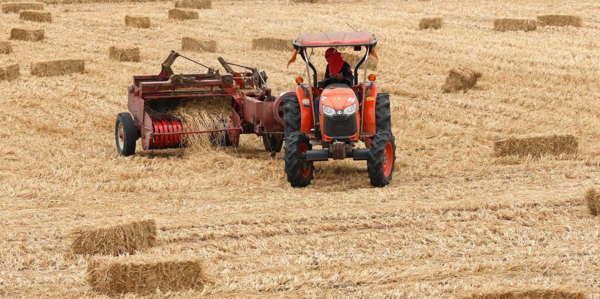 brauchen autoflower dünger 420Flow All-in-One Dünger: Perfekt für jede Cannabis-Wachstumsphase main image 0