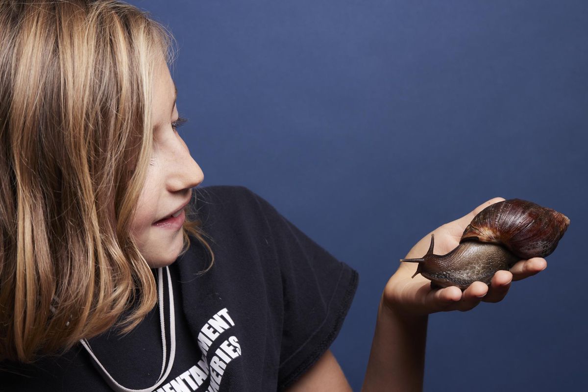 Malone, 11 ans, nous présente son escargot Ludo, 2 ans. 