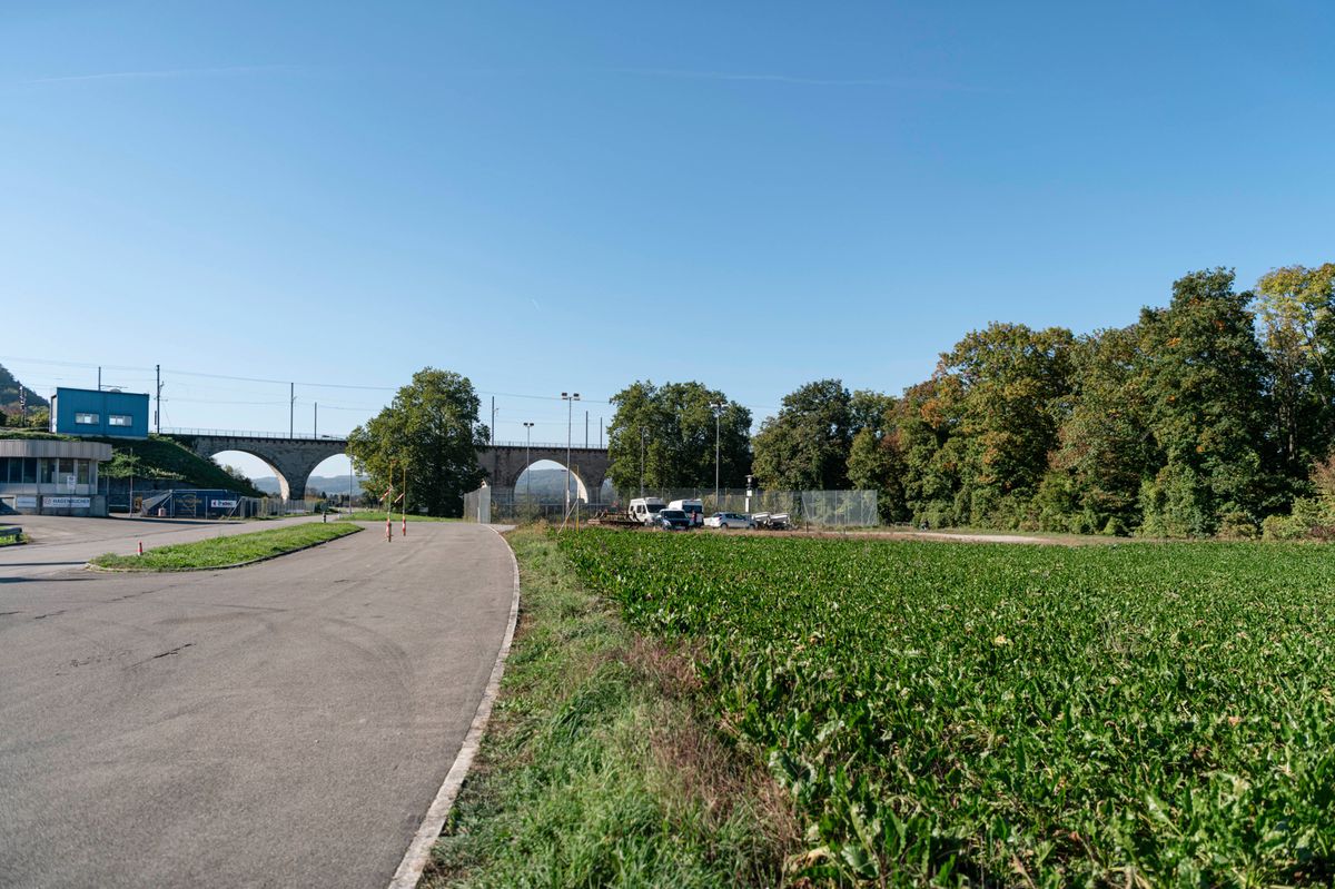 11.10.2023 Feld bei Rheinsfelderstrasse in Eglisau. Schweiz