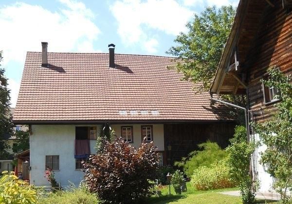 En 2012, un retraité zurichois a été attaqué à deux reprises chez lui à Aeugst am Albis. Il était décédé  d'une crise cardiaque dix jours après la deuxième agression.