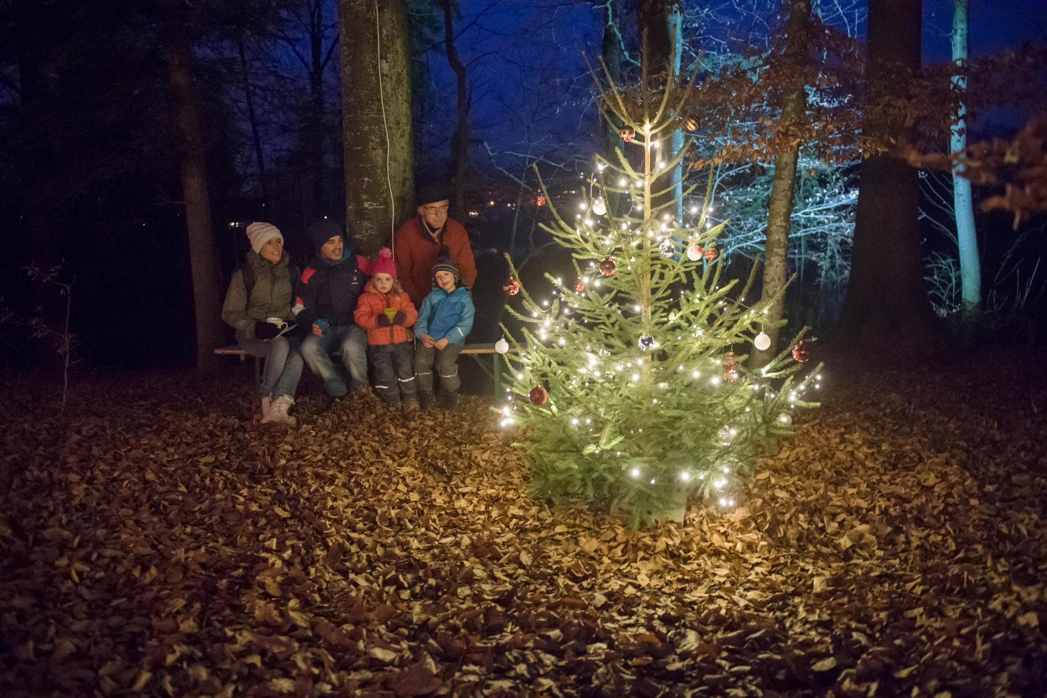 Förster, Jäger und Waldbesitzer wünschen sich für Heiligabend wenig Besucher im Wald. Vergangenes Jahr fand die beliebte Waldweihnacht des Ortsvereins Uerikon statt. Heuer ist sie wegen des Coronavirus abgesagt. 