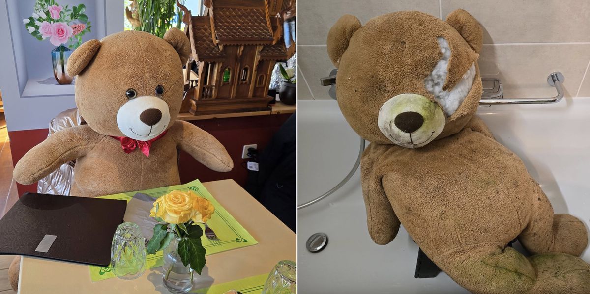 Meyrin: un ours en peluche abandonn&eacute; au cimeti&egrave;re reprend vie