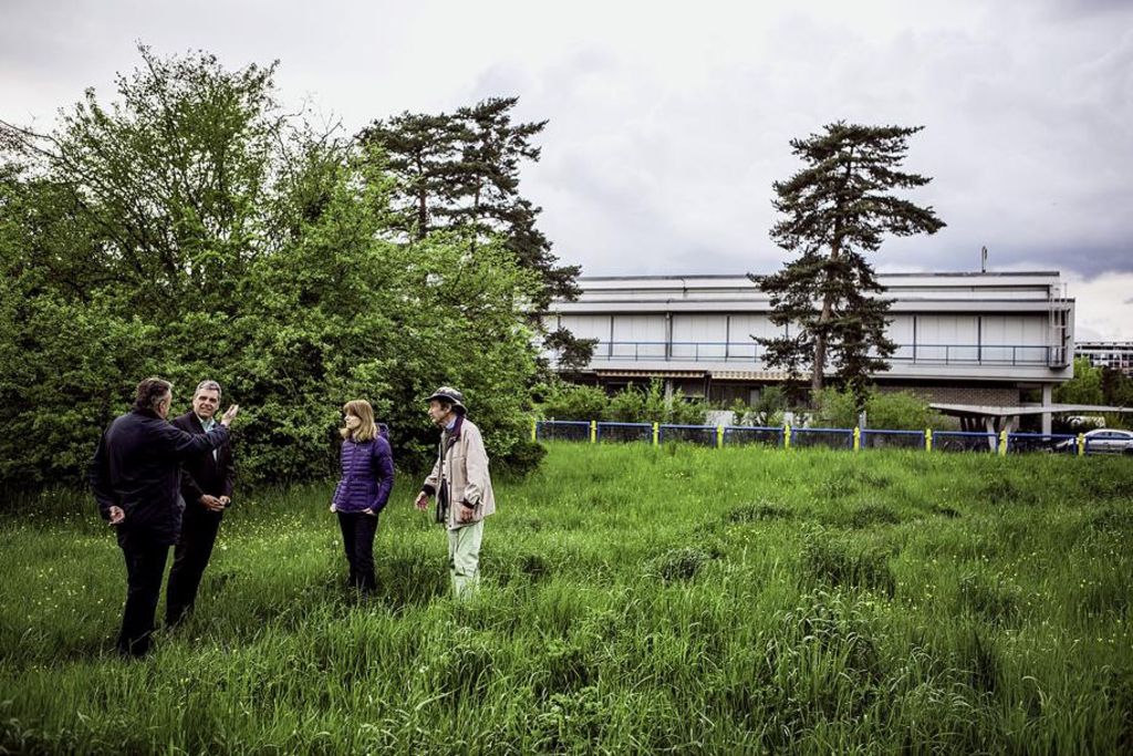 L’effet limité des pétitions contre les requérants
