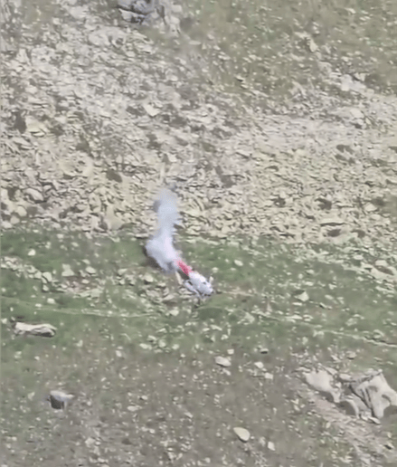 Accident in Valais: Helicopter crashes on the Oberaletsch Glacier