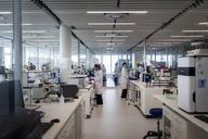 Gazyva: Roche erzielt positive Studienergebnisse mit Nierenentzündungsmittel