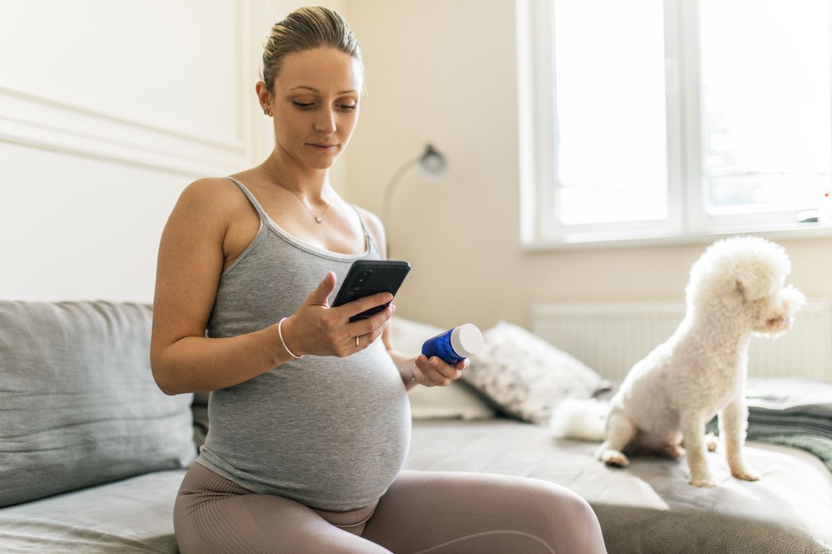 Beautiful young pregnant woman sitting on sofa in her living room and holding medical bottle with medicine pills or nutrition supplements and searching internet on mobile phone for description