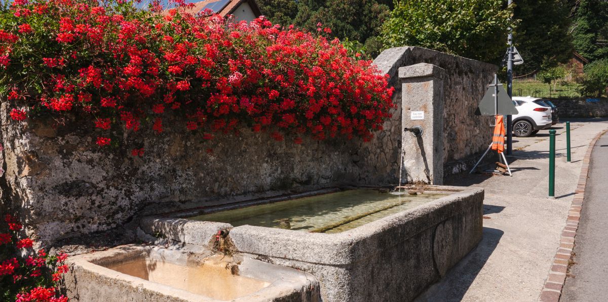 Une fontaine publique du village Fontaines-sur-Grandson, bordée de fleurs rouges.
